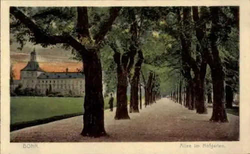 Ak Bonn am Rhein, Allee im Hofgarten