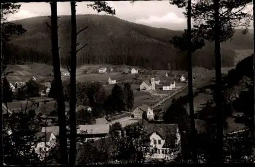 Ak Enzklösterle im Schwarzwald, Panorama