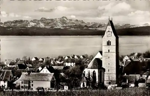 Ak Hagnau am Bodensee, Teilansicht, Schweizer Alpen