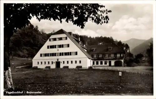 Ak Badenweiler am Schwarzwald, Vogelbachhof, Panorama
