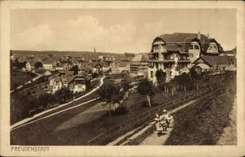 Ak Freudenstadt im Schwarzwald, Gesamtansicht