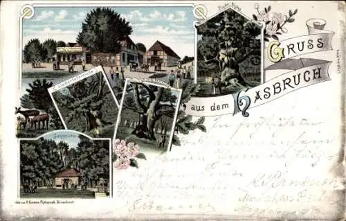 Litho Hude in Niedersachsen, Hasbruch, Gasthaus zum Falkenburg von Neumeyer, Bäume, Dicke Eiche