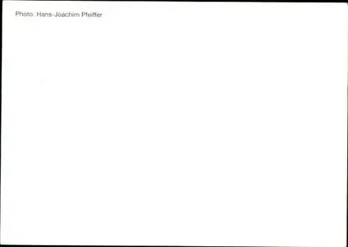 Ak Schauspielerin Andrea Thilo, Portrait, Autogramm