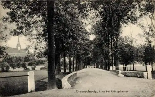 Ak Riddagshausen Braunschweig in Niedersachsen, Allee