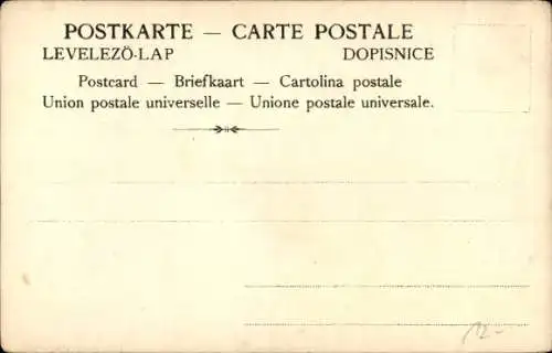 Litho Dalli Patent Plättmaschine, Bügeleisen, Deutsche Glühstoff Gesellschaft Dresden, Am Meer