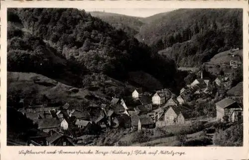 Ak Zorge Walkenried im Harz, Mittelzorge