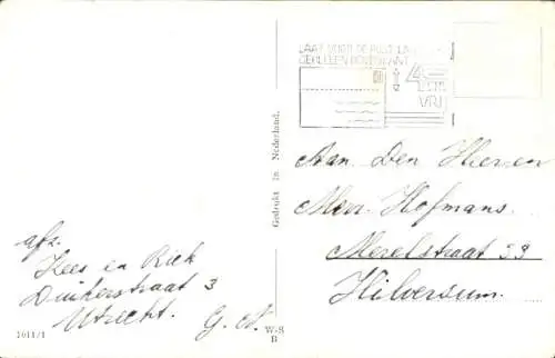 Künstler Ak Wills, John, Fröhliches Neujahr, kostümierte Musikanten, Schweine