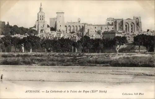 Ak Avignon-Vaucluse, Kathedrale, Papstpalast