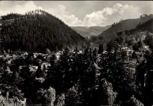 Ak Friedrichroda im Thüringer Wald, Teilansicht, Gottlob, Schauenburg