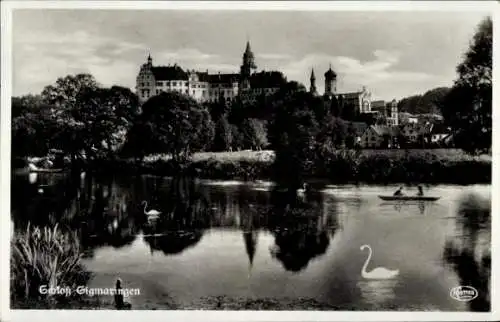 Ak Sigmaringen an der Donau, Schloss, Schwan