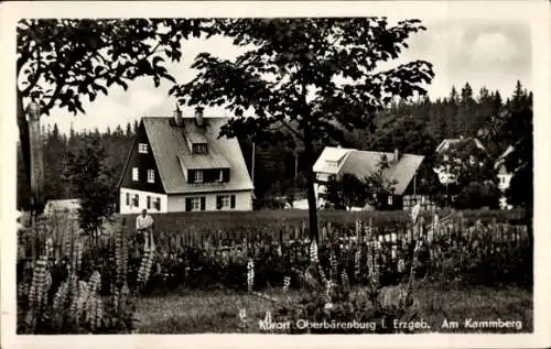 Ak Oberbärenburg Altenberg im Erzgebirge, Am Kammberg