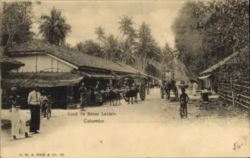 Ak Colombo Ceylon Sri Lanka, Straße zum Mount Lavinin