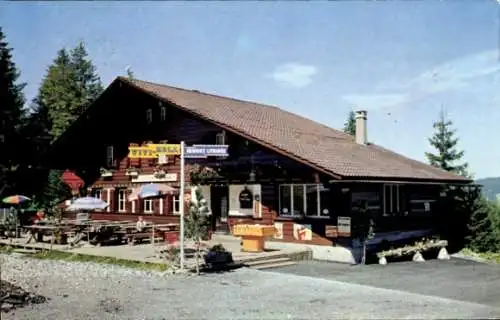 Ak Châtel Saint Denis Kanton Freiburg, Hotel Les Rosalys, Les Paccots