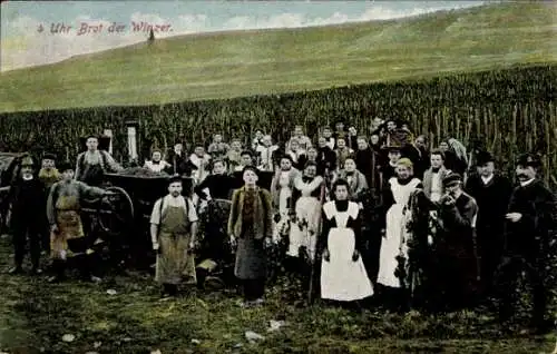 Ak 4 Uhr Brot der Winzer, Weinberg