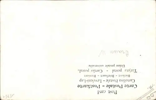 Künstler Ak Frau auf einer Leiter pflückt Kirschen