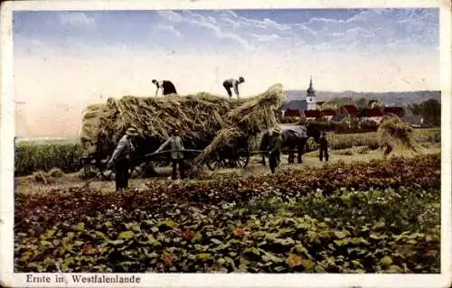 Ak Ernte im Westfalenlande, Landwirte bei der Feldarbeit, Westfalenlied