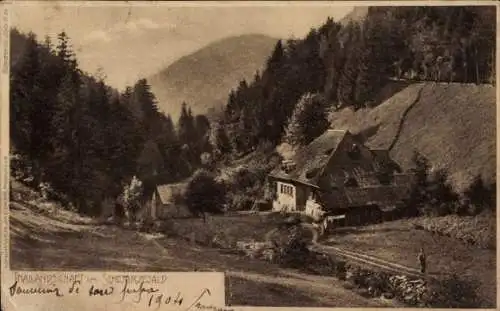 Ak Schwarzwald, Thallandschaft, Wohnhaus