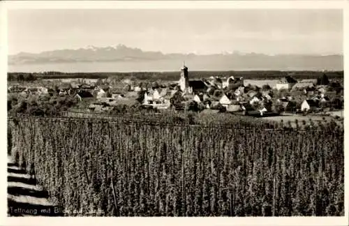 Ak Tettnang in Württemberg, Panorama, Hopfenanbau