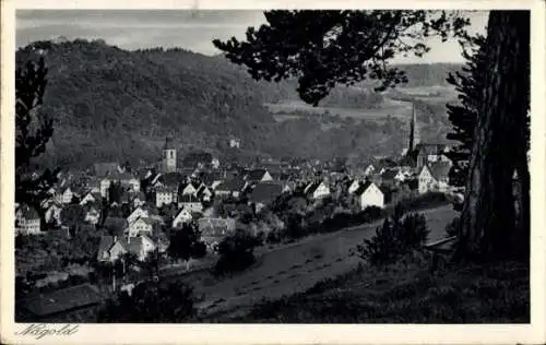 Ak Nagold im Schwarzwald, Gesamtansicht