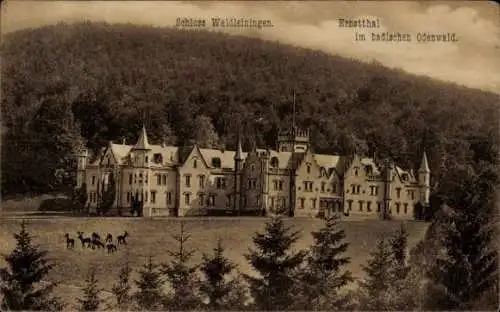 Ak Mörschenhardt Mudau im Odenwald Baden, Schloss Waldleiningen, Ernsttal