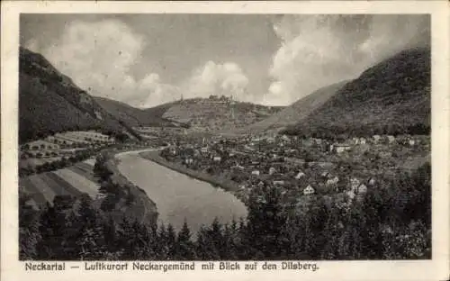 Ak Neckargemünd am Neckar, Panorama, Dilsberg