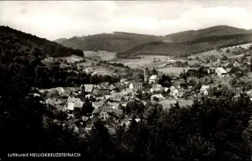 Ak Heiligkreuzsteinach am Neckar Odenwald, Panorama