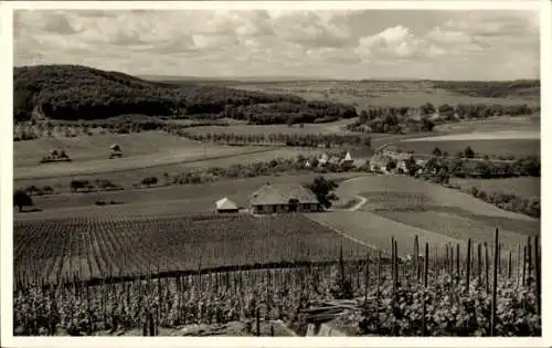 Ak Maulbronn im Schwarzwald, Elfinger Hof
