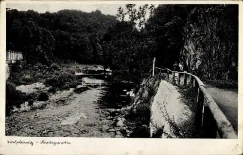 Ak Treseburg Thale im Harz, Bode