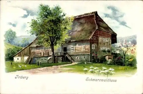 Litho Triberg im Schwarzwald, Schwarzwaldhaus