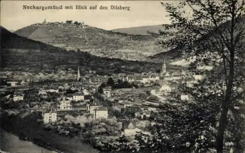 Ak Neckargemünd am Neckar, Panorama, Dilsberg