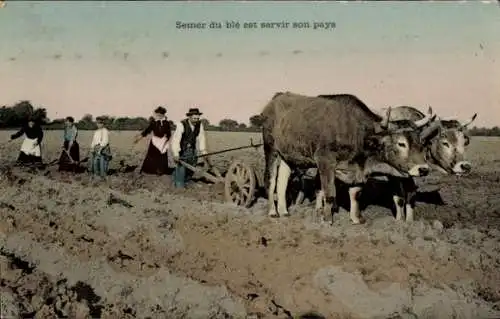 Ak Frankreich, Landwirtschaft, Pflug, Rinder, Bauern, Ackerarbeit