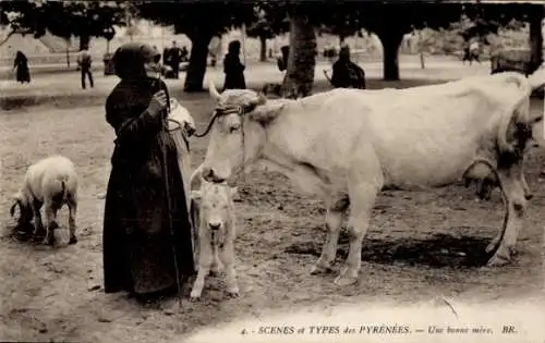 Ak Pyrénées, Frau in Volkstracht, Rinder, Jungtier