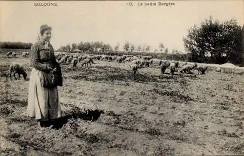 Ak Sologne, Bäuerin, Schafe, Feld, Landwirtschaft