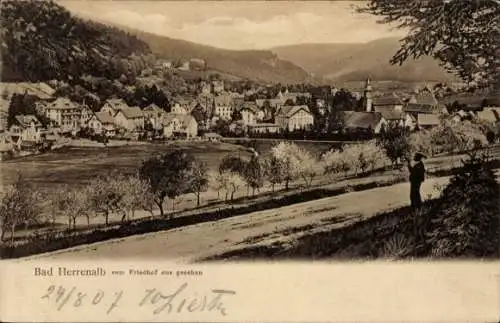 Ak Bad Herrenalb im Schwarzwald, Blick vom Friedhof