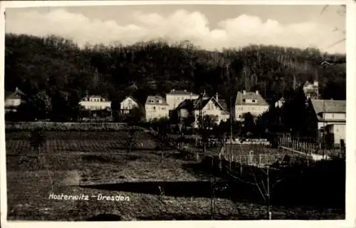 Foto Ak Dresden Hosterwitz, Teilansicht, Felder