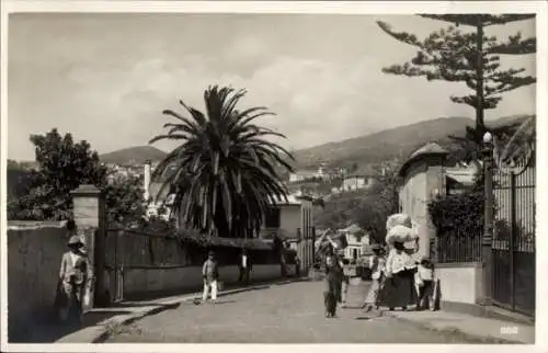 Ak Funchal Insel Madeira Portugal, Straßenpartie