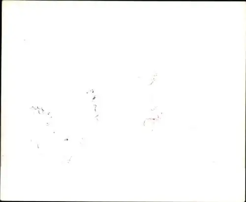 AK Musikgruppe Rosy-Singers, Gruppenfoto, Autogramme