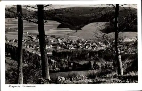 Ak Hoppecke Brilon im Sauerland, Gesamtansicht