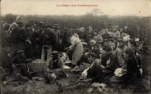 Ak Weinlese, Mittagspause