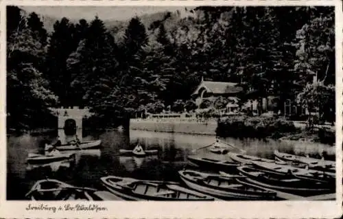 Ak Freiburg im Breisgau, Waldsee, Anlegestelle, Ruderboote, Brücke