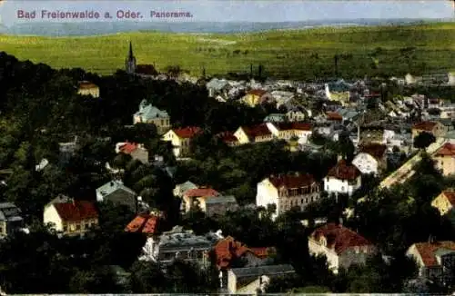 Ak Bad Freienwalde an der Oder, Panorama