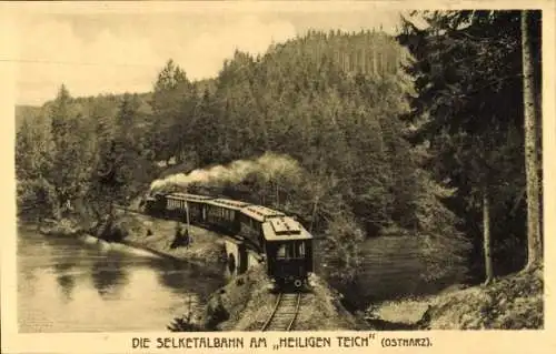 Ak Gernrode Quedlinburg im Harz, Selketalbahn, Heiliger Teich, Dampflok