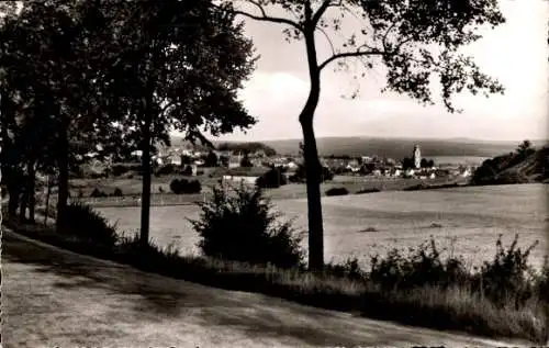 Ak Usingen im Taunus Hessen, Panorama