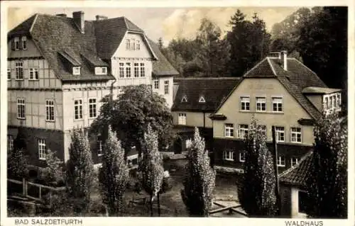 Ak Bad Salzdetfurth in Niedersachsen, Waldhaus