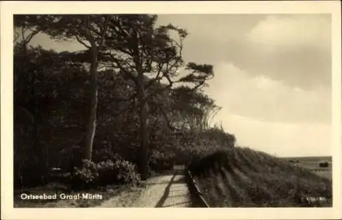 Ak Ostseebad Graal Müritz, Teilansicht, Dünen