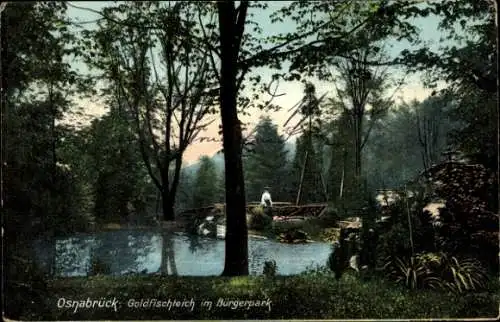 Ak Osnabrück in Niedersachsen, Bürgerpark, Goldfischteich