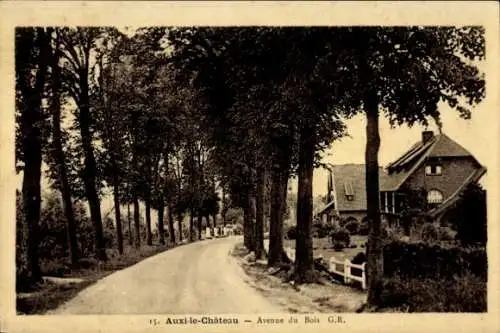 Ak Auxi le Chateau Pas de Calais, Avenue du Bois