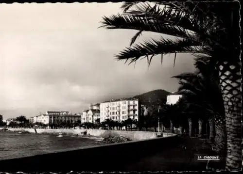 Ak Ajaccio Corse du Sud, superbe promenade du boulevard Lantivy