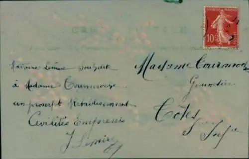 Zelluloid Ak Kitsch, Blumen, Tannenzweige