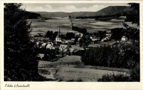 Ak Eslohe im Sauerland, Gesamtansicht